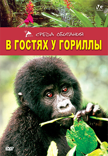 В гостях у гориллы трейлер (1997)