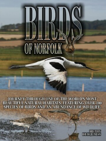 Birds of Norfolk: A Bird Watchers Dream трейлер (2010)