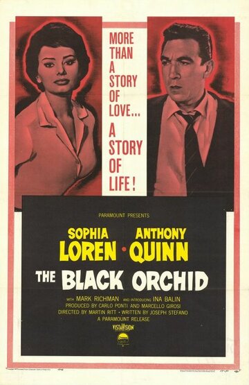 Черная орхидея трейлер (1958)