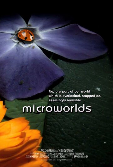 MicroWorlds (2010)