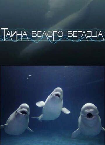 Тайна белого беглеца трейлер (2012)