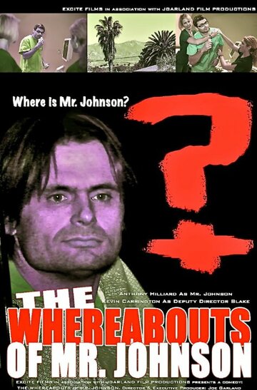 The Whereabouts of Mr. Johnson (2011)