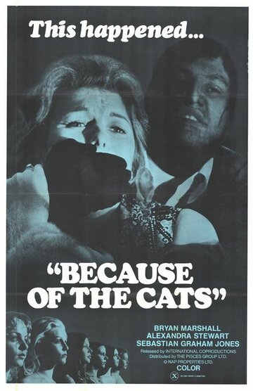 Из-за кошек трейлер (1973)
