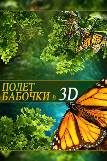 Полет бабочки 3D трейлер (2012)