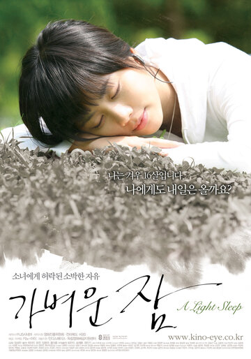 Легкий сон (2008)