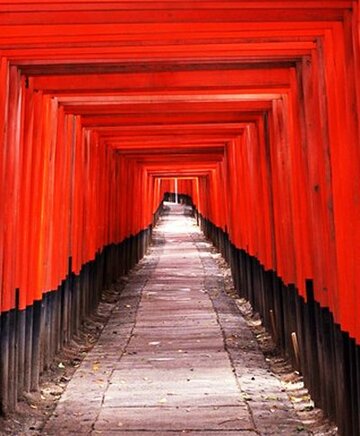 Japon: Sur la route des festivités (2013)