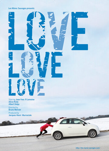 Любовь, любовь, любовь (2013)