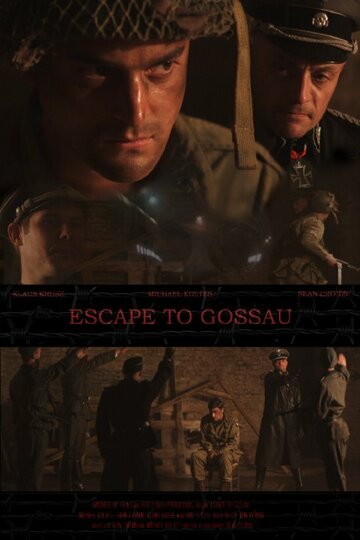 Escape to Gossau (2013)