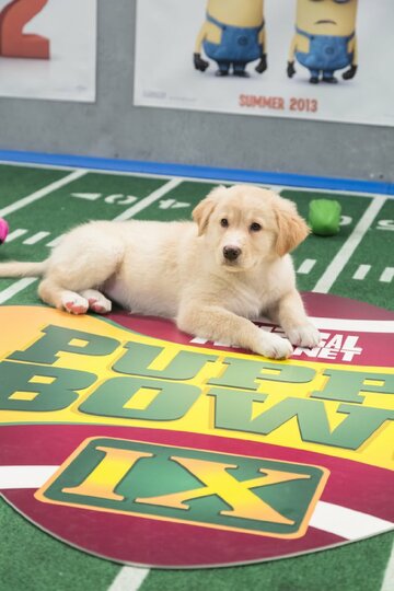 Puppy Bowl IX трейлер (2013)