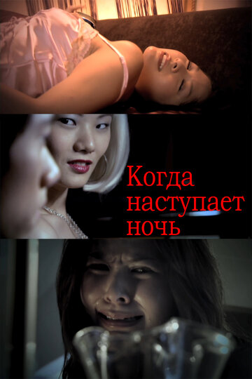 Когда наступает ночь (2009)