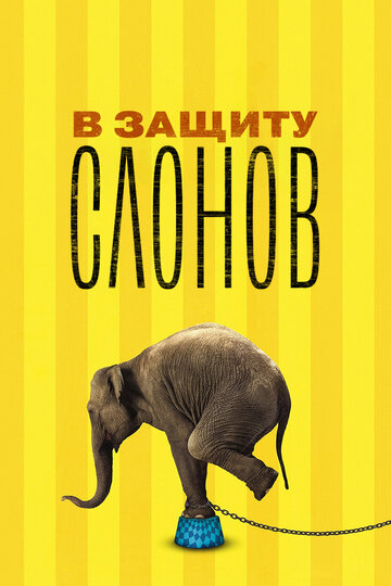 В защиту слонов 2013 трейлер (2013)