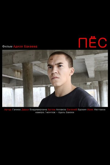 Пес трейлер (2012)