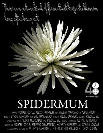Spidermum (2012)