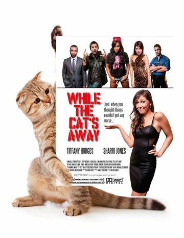 While the Cat's Away (2013)