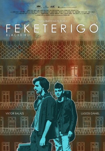 Feketerigó трейлер (2015)