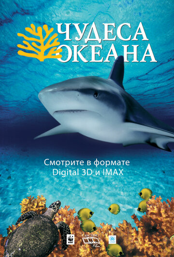 Чудеса океана 3D трейлер (2003)