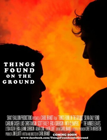 Things Found on the Ground (2013)