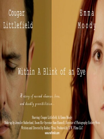 Within A Blink of an Eye (2013)