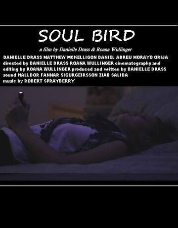 Soul Bird трейлер (2014)