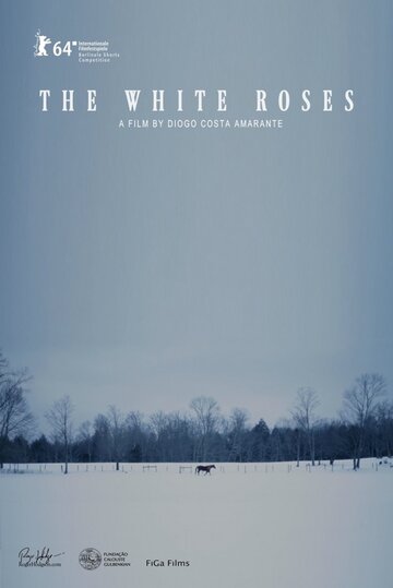 As Rosas Brancas трейлер (2014)