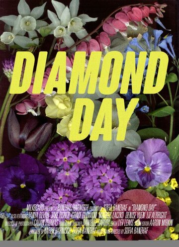 Diamond Day трейлер (2015)