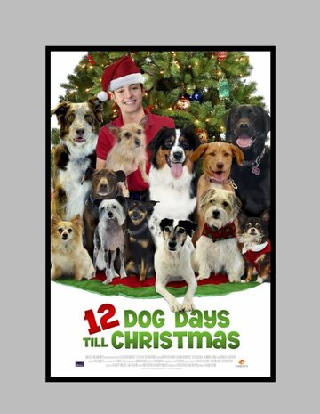 12 Dog Days of Christmas трейлер (2014)