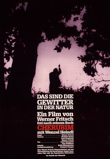 Das sind die Gewitter in der Natur (1988)