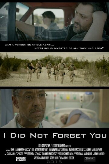 I Did Not Forget You (2015)