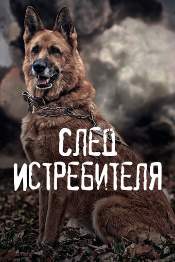 След Истребителя трейлер (2015)