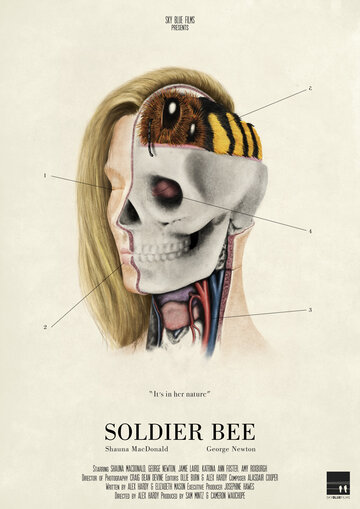 Soldier Bee трейлер (2016)