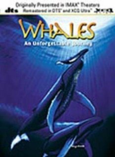 Whales: An Unforgettable Journey трейлер (1998)