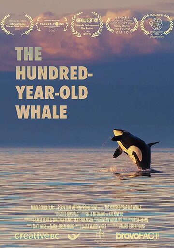 The Hundred Year Old Whale трейлер (2017)
