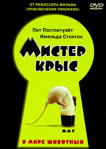 Мистер крыс трейлер (2000)