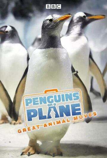 Пингвины на самолете: Передвижение великих животных трейлер (2014)